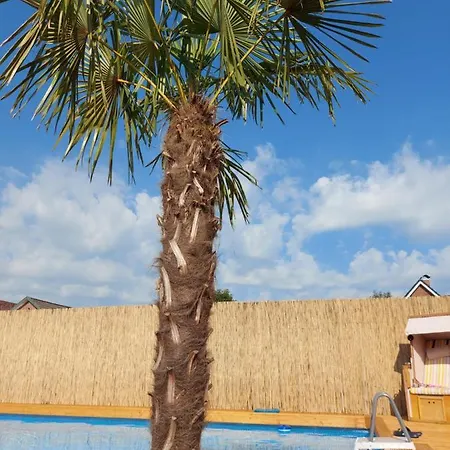 Ferienwohnung Uhlenbusch Paradise Friesoythe Eksteriør billede